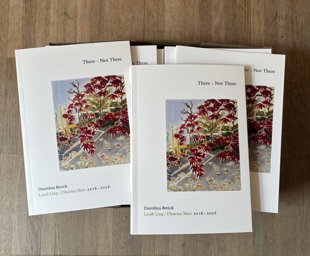 There - Not There Buch Foto